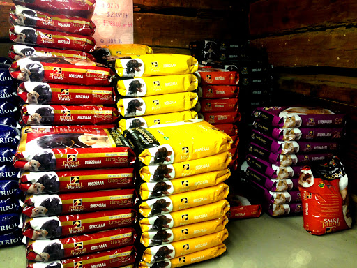 Performance Blenders