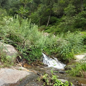 Mani Ram Dhaba Jana Waterfall photo
