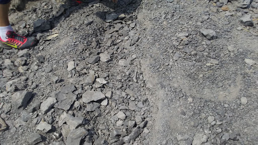 Nature Preserve «Penn Dixie Fossil Park & Nature Reserve», reviews and photos, 4050 North St, Blasdell, NY 14219, USA