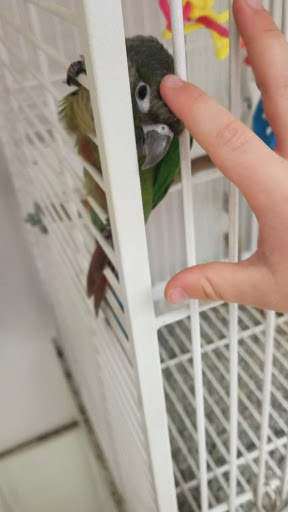 Pet Supply Store «Petco Animal Supplies», reviews and photos, 48 Watertower Plaza, Leominster, MA 01453, USA