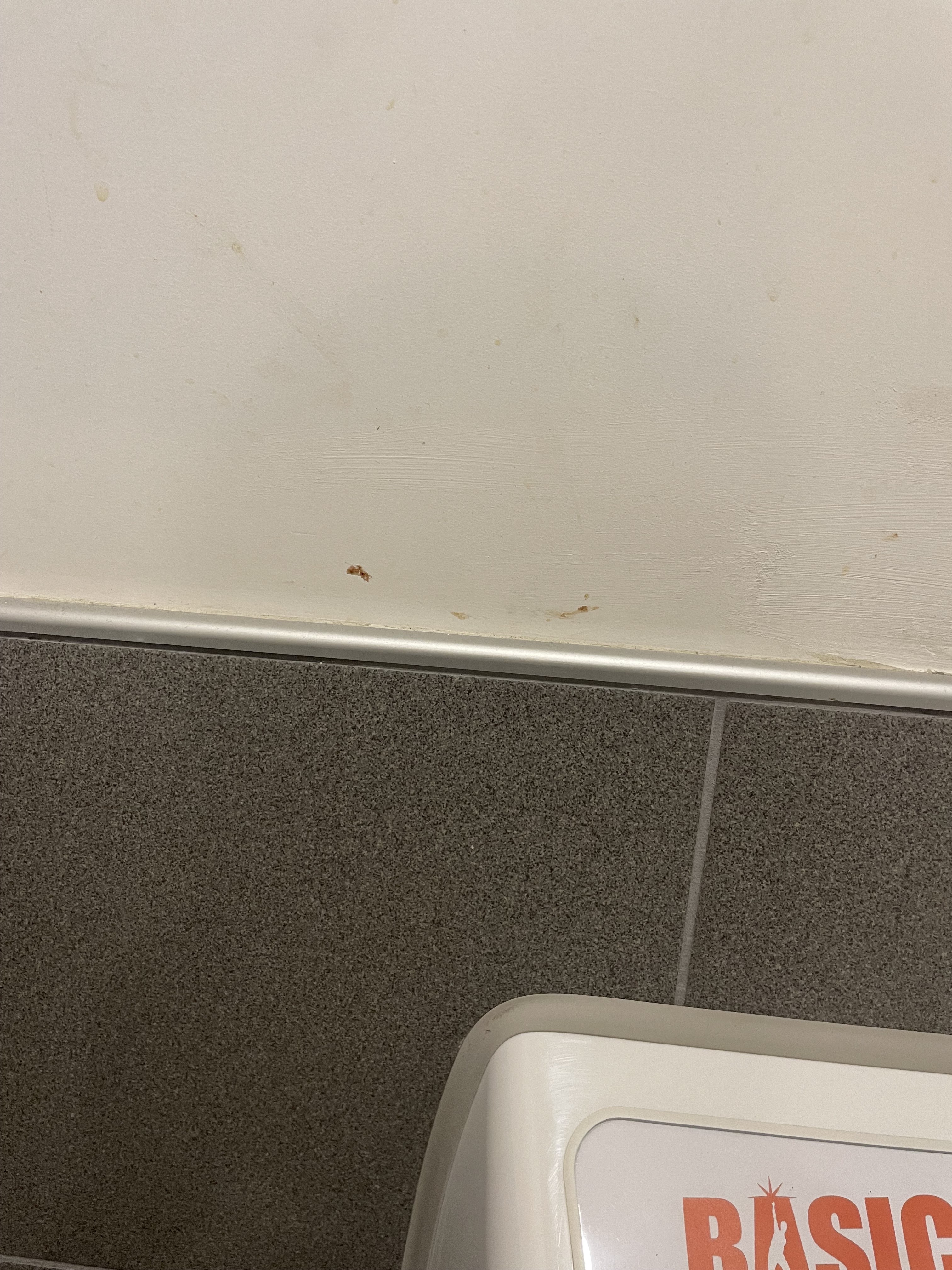 Photo n° 1 de l'avis de Clément.o fait le 26/06/2023 à 13:21