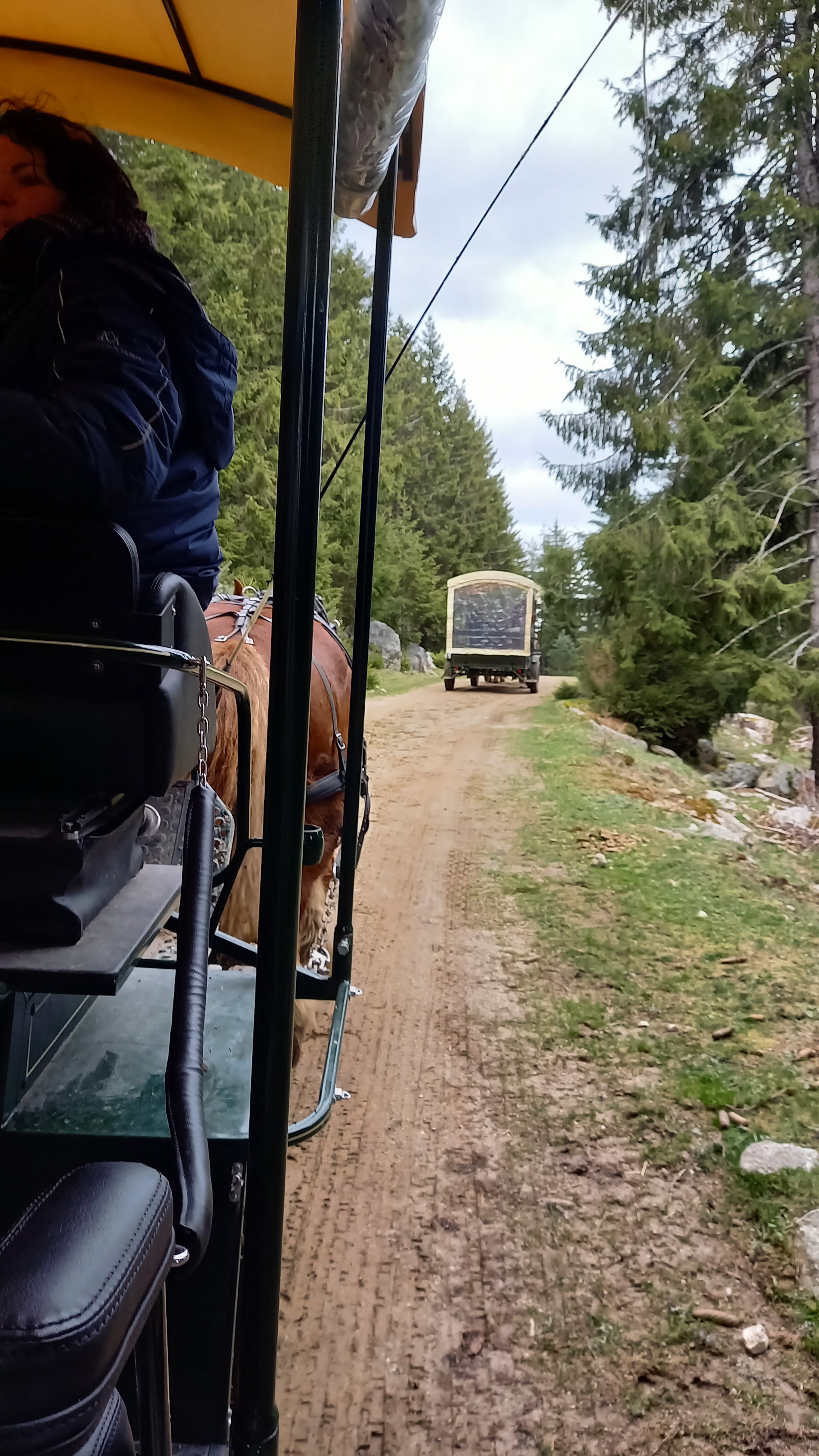 Photo n° 3 de l'avis de Christiane.e fait le 04/05/2023 à 15:46