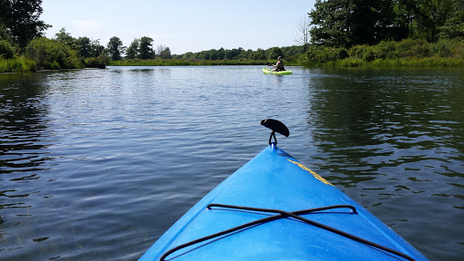 State Park «Presque Isle State Park», reviews and photos, 301 Peninsula Dr #1, Erie, PA 16505, USA