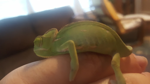 Pet Store «Feeders Supply», reviews and photos, 229 E Lewis and Clark Pkwy, Clarksville, IN 47129, USA