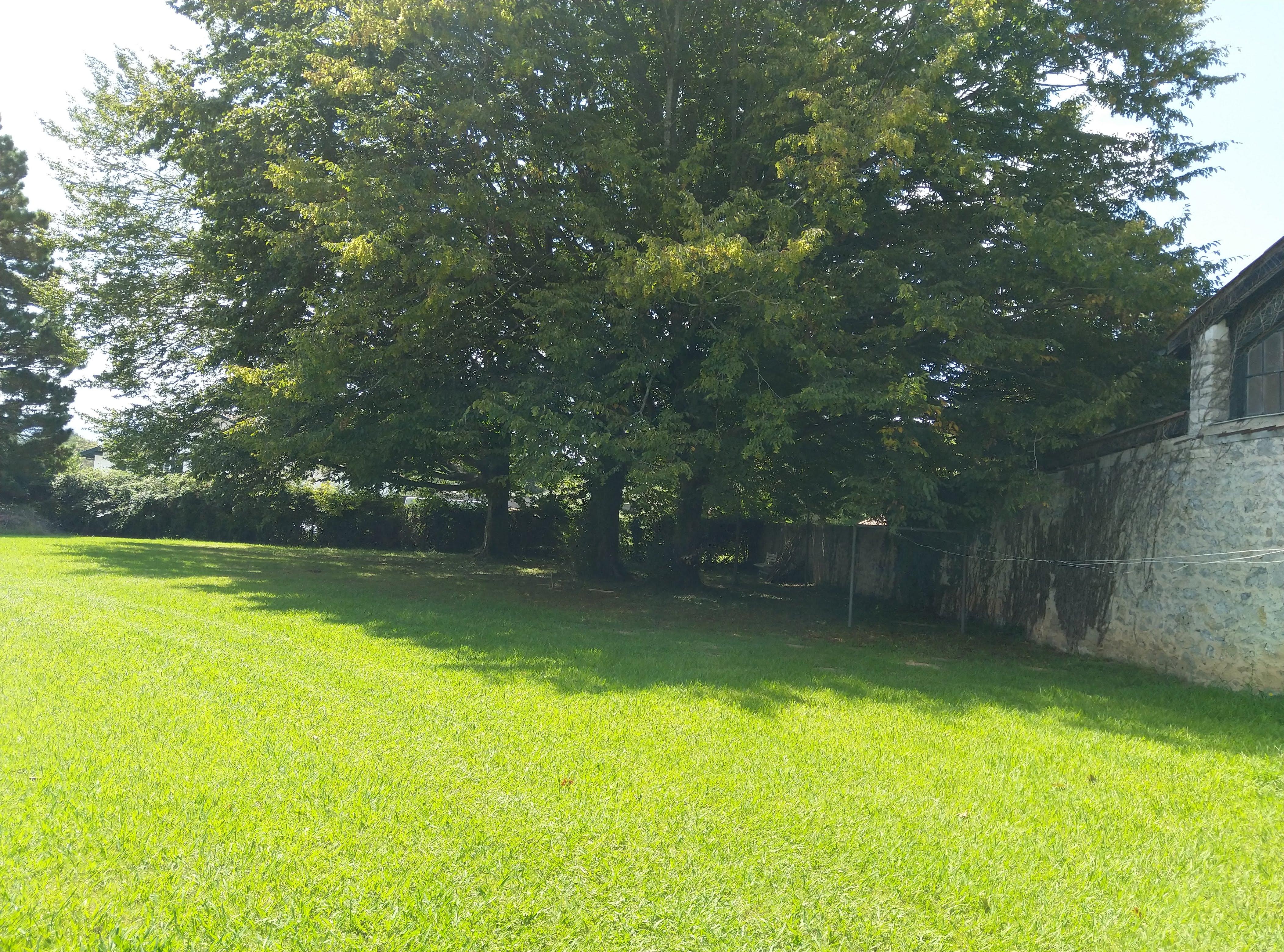 Photo n° 4 de l'avis de audrey.i fait le 25/08/2019 à 11:55