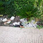 Photo n°3 de l'avis de A. fait le 25/08/2022 à 15:05 sur le  Hotel Vietri Coast à Vietri sul Mare