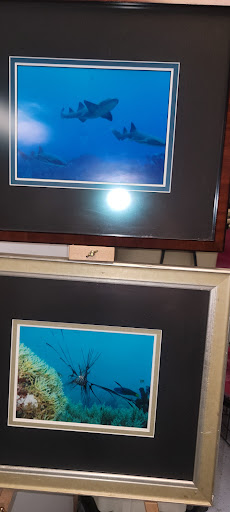 SCUBA Instructor «WOODS & WATER OUTDOOR SPORTS CENTER», reviews and photos, 124 Edwards Ave, Brandon, FL 33510, USA