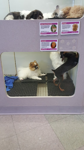 Pet Store «Friendly Pets», reviews and photos, 625 Friendly Center Rd, Greensboro, NC 27408, USA