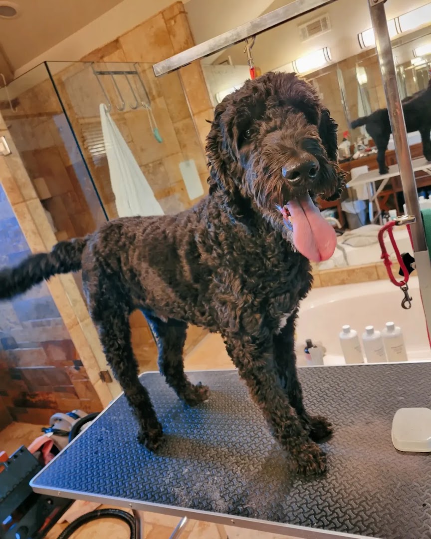 Tailored Canine Mobile Grooming