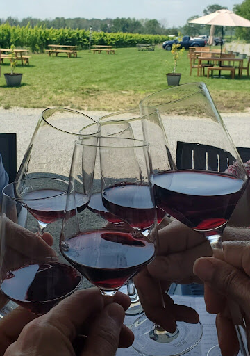 Winery «Hermann J. Wiemer Vineyard», reviews and photos, 3962 NY-14, Dundee, NY 14837, USA