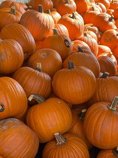 Grocery Store «Albertsons», reviews and photos, 210 W Katherine P Raines Rd, Cleburne, TX 76033, USA