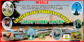 Coliseo De Gallos "CARLOS FLORES MONTES "