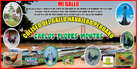 Coliseo De Gallos "CARLOS FLORES MONTES "
