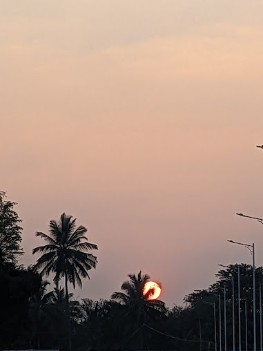 Google Maps image 11