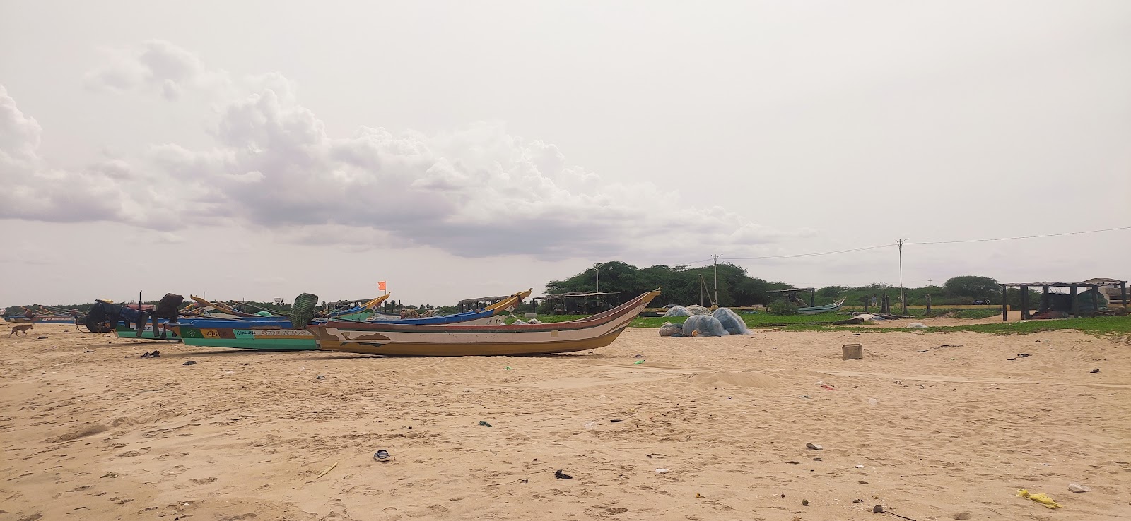 Pakala Beach photo #8