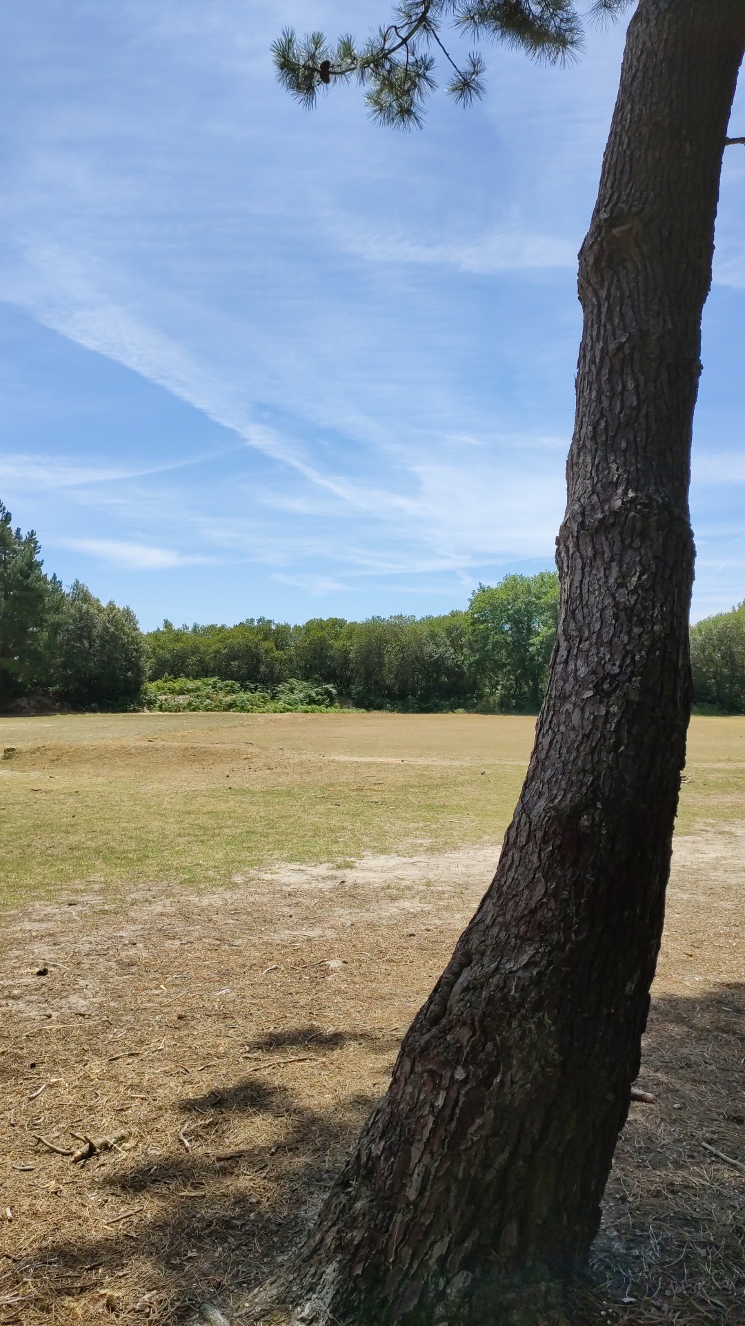 Photo n° 1 de l'avis de Marina.e fait le 10/07/2019 à 12:15