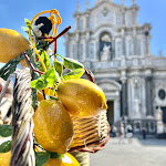 Photo n°1 de l'avis de Davide.i fait le 30/04/2022 à 12:15 sur le  Sikulè Restaurant à Catania