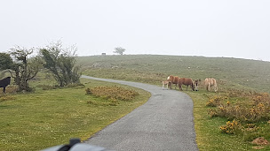 Photo n°34 de Le Delta à Auterive ()