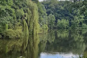 Moss Valley Country Park image