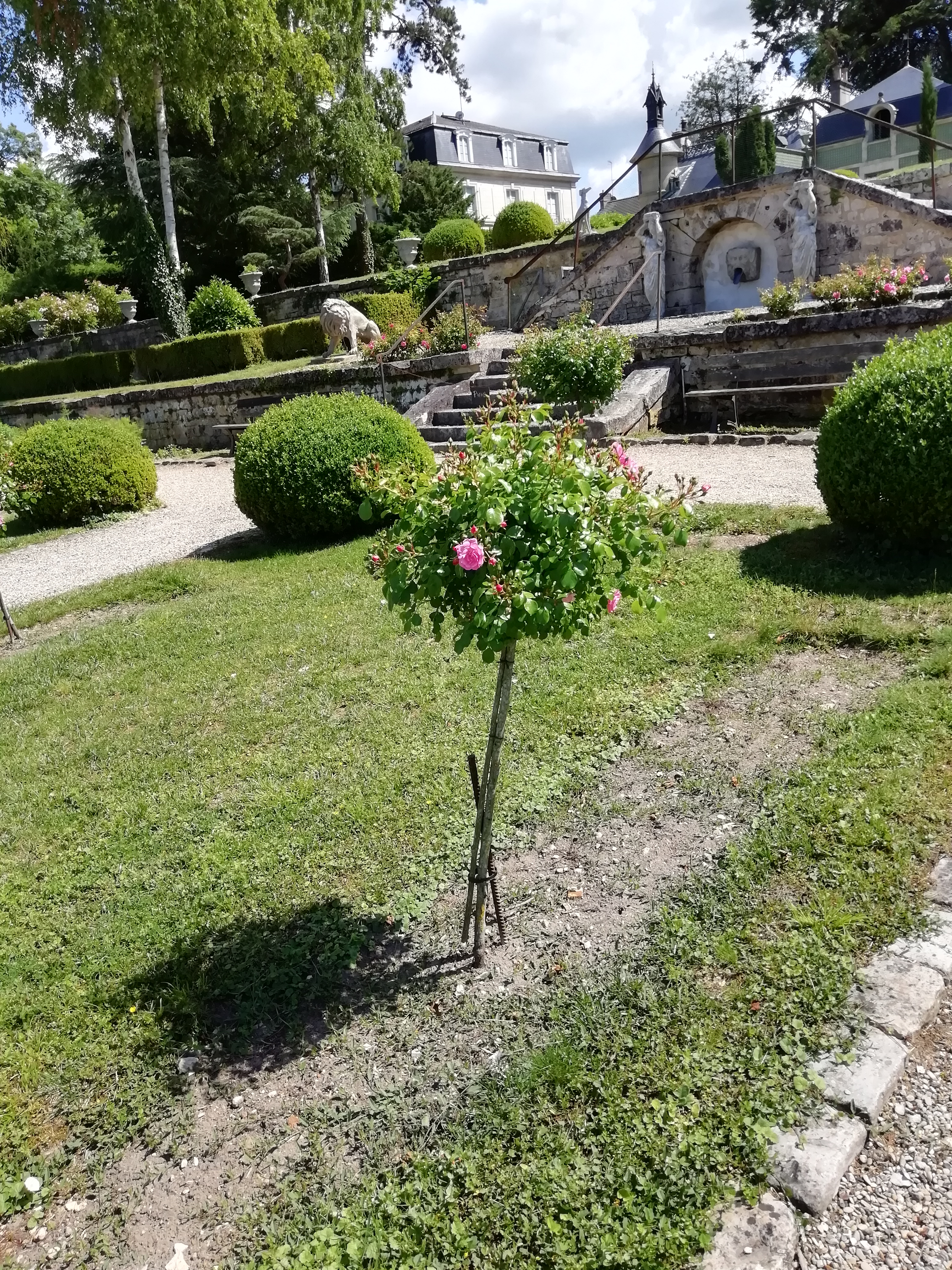 Photo n° 1 de l'avis de Marie.h fait le 17/06/2019 à 19:35