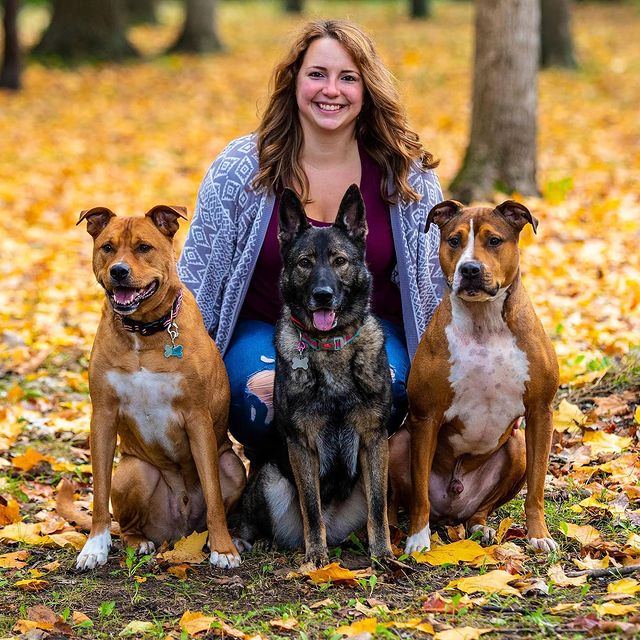 Kennedy Dog Training Michigan, LLC