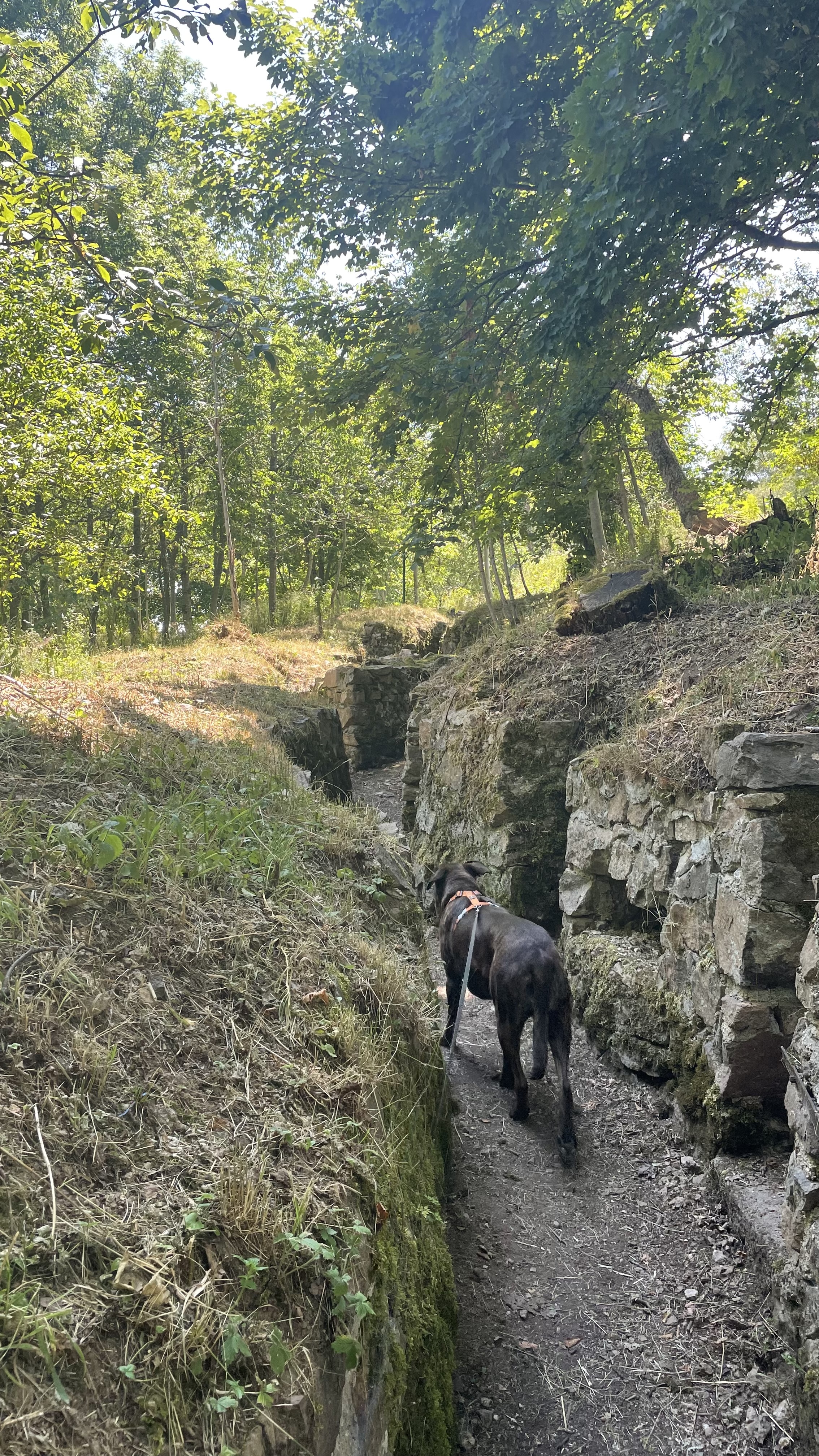 Photo n° 23 de l'avis de Wendelien.i fait le 24/07/2022 à 19:04