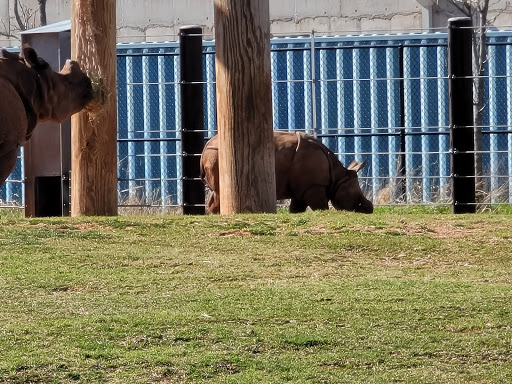 Zoo «Oklahoma City Zoo», reviews and photos, 2000 Remington Pl, Oklahoma City, OK 73111, USA