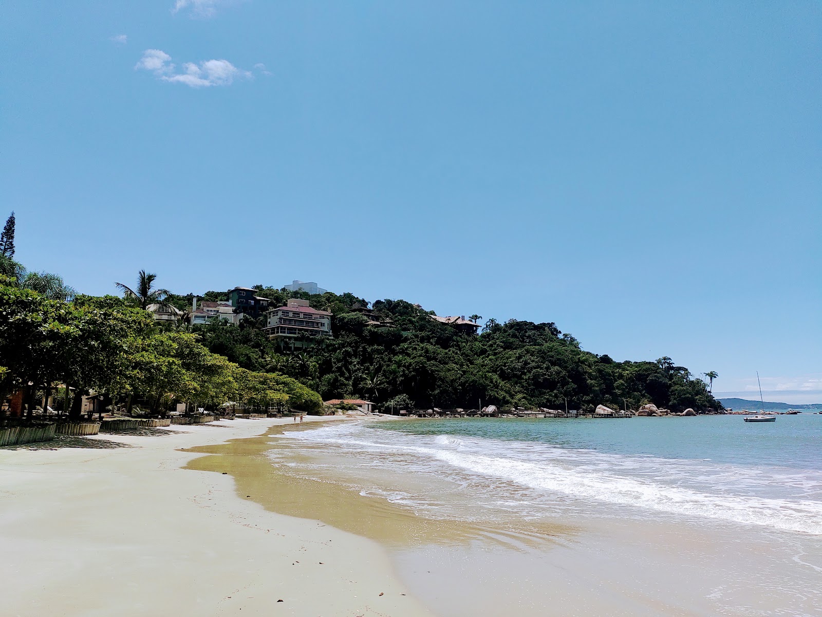 Foto von Praia da Figueira wilde gegend