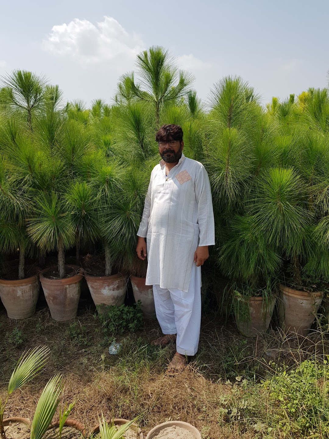 Green grass farm Gujranwala Pakistan