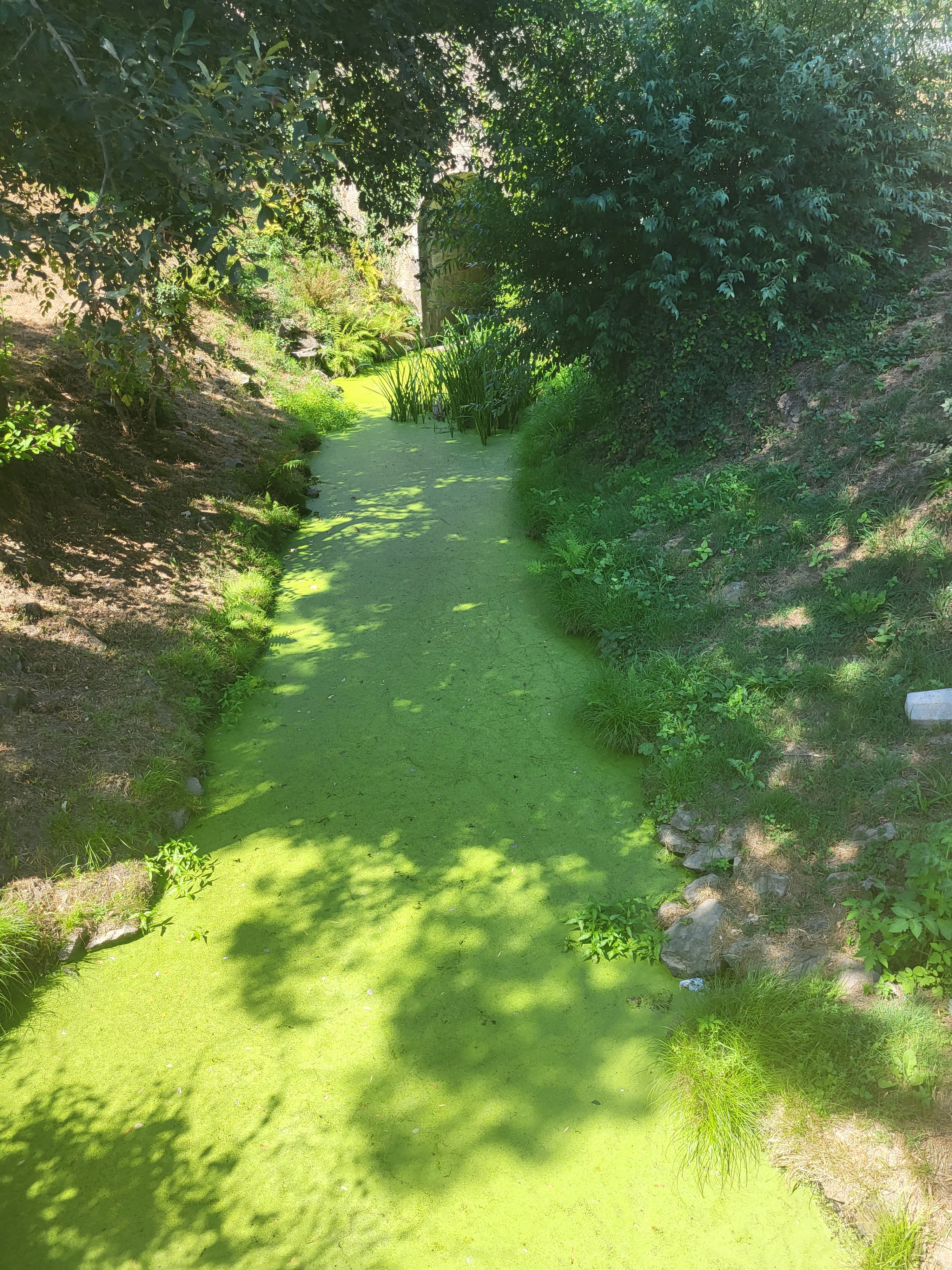 Photo n° 4 de l'avis de Sabrina.a fait le 09/08/2022 à 17:10