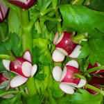 Photo n°4 de l'avis de Gius.c fait le 24/07/2018 à 09:21 sur le  La Rosa dei Venti à San Gregorio Magno