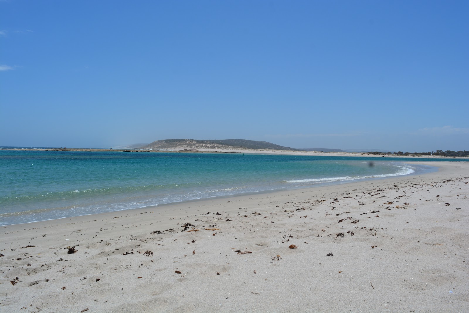 Chinaman's Beach photo #8