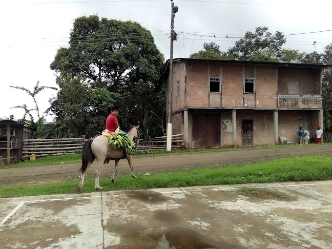 Comunidad Buenos Aires, Sucre, Ecuador