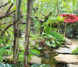 กูการ์เด้น KU garden อุดรธานี photo