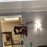 Photo n°2 de l'avis de René.r fait le 25/11/2021 à 14:42 sur le  Hotel Artemide à Rome