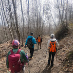 Photo n°1 de l'avis de yusheng.u fait le 04/03/2024 à 19:17 sur le  Un Posto Al Sole f.lli colonna à Naples