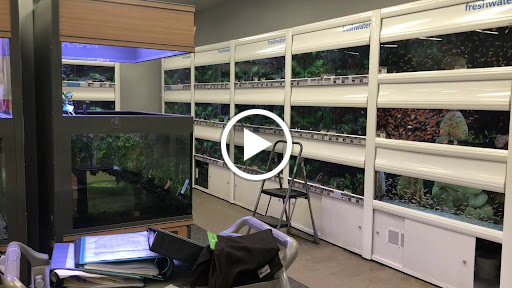 Pet Supply Store «Petco Animal Supplies», reviews and photos, 92 Cluff Crossing Rd, Salem, NH 03079, USA