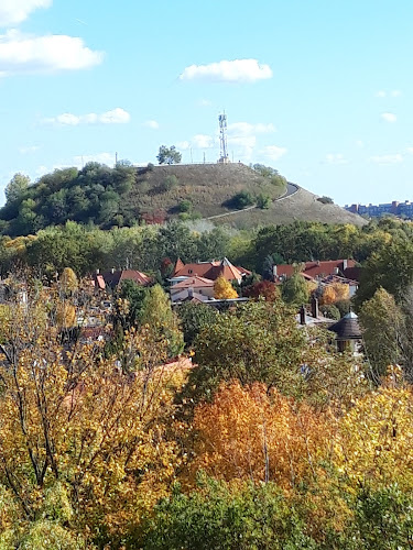 Comentarii opinii despre Szabadidőpark