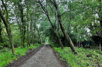 Parque - Vía Verde del Cidacos Arnedo - Arnedo