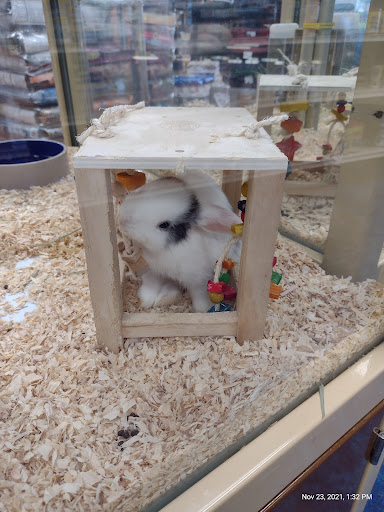 Pet Supply Store «Pet Supermarket», reviews and photos, 32560 US Hwy 19 N, Palm Harbor, FL 34683, USA