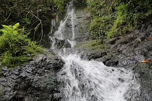 Likeke Falls Trailhead image