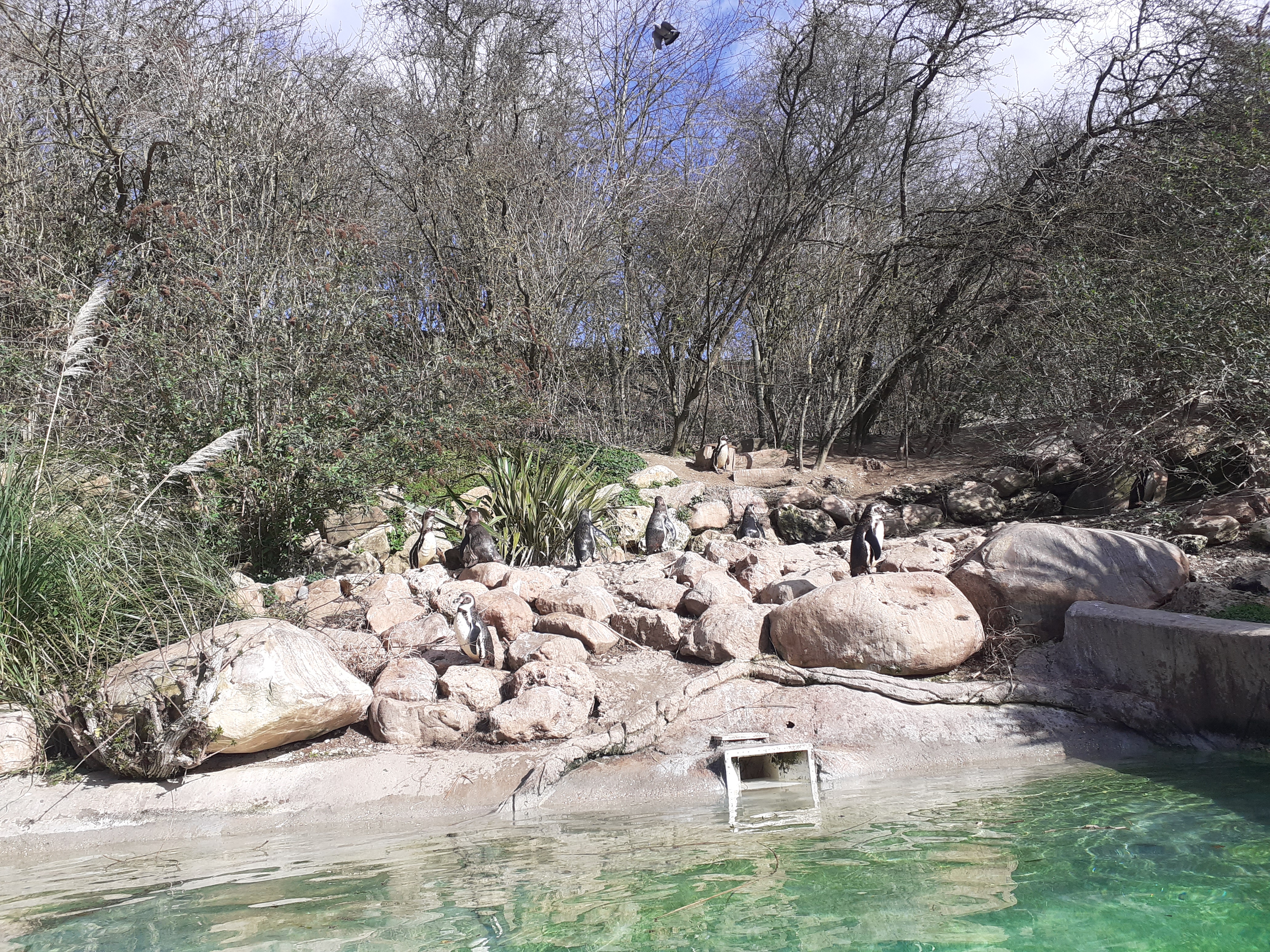 Photo n° 6 de l'avis de JCAL.a fait le 25/02/2022 à 15:33