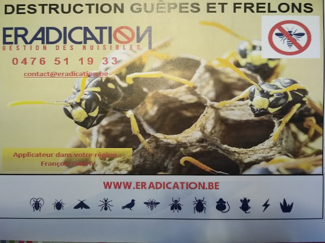 Éradication FA destruction nid de guêpes et frelons - Charleroi