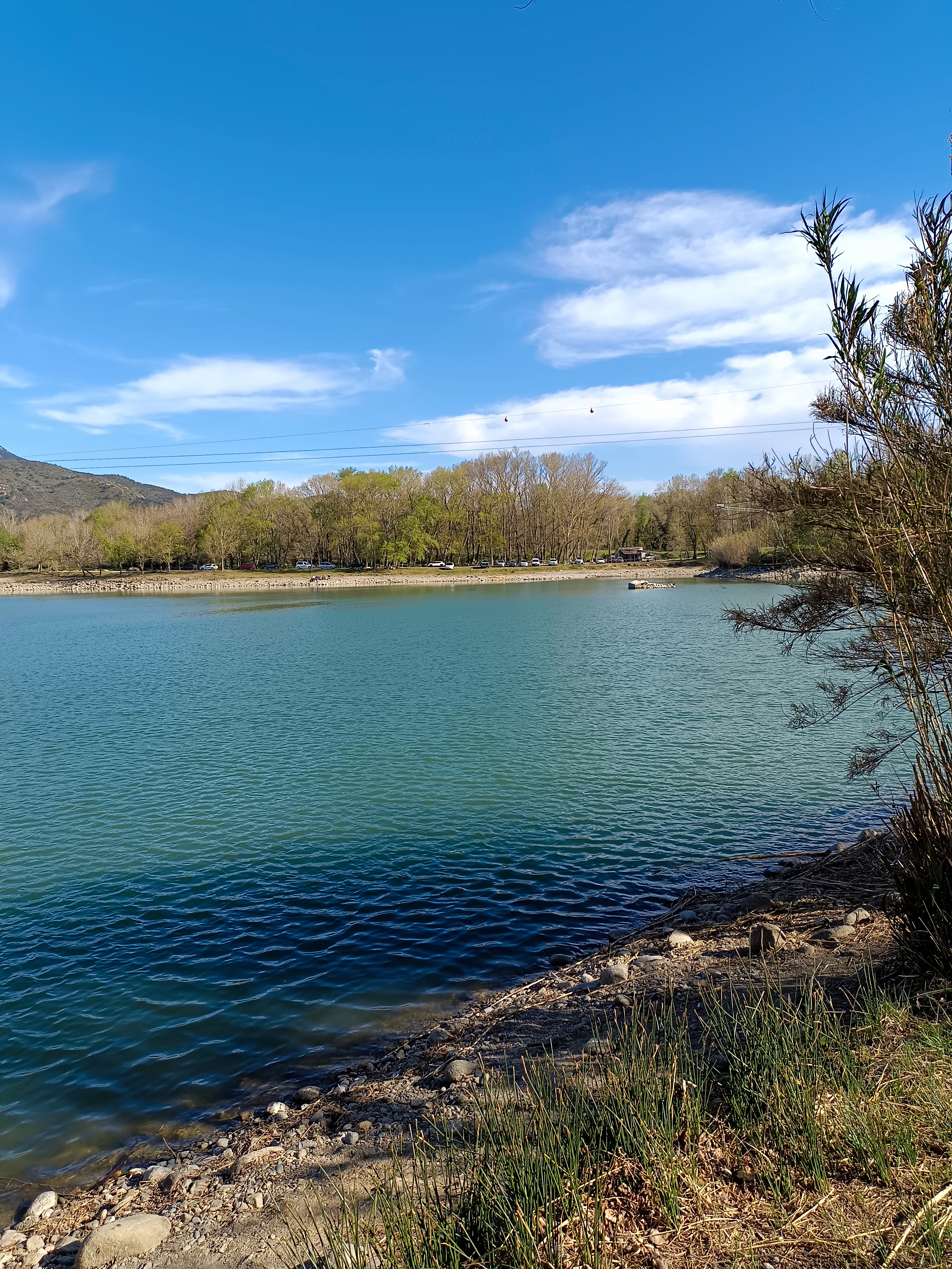 Photo n° 7 de l'avis de Henri.e fait le 30/04/2023 à 18:01