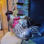 Photo n°2 de l'avis de Anna.l fait le 05/04/2019 à 15:46 sur le  Ferienhof Frieslandstern - Ute Eden e.Kfr. à Wangerland