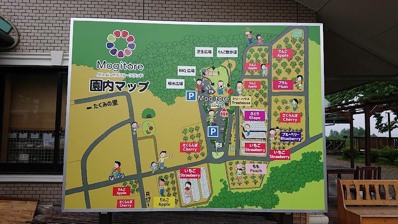 みなかみフルーツランド モギトーレ 群馬県みなかみ町新巻 果樹園 飲食店 グルコミ