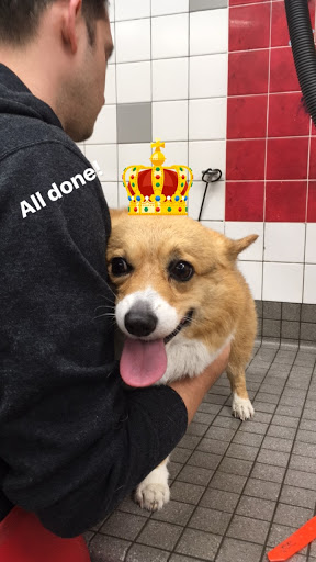 Pet Supply Store «Pet Food Express», reviews and photos, 5148 Stevens Creek Blvd, San Jose, CA 95129, USA