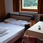 Photo n°3 de l'avis de Mirna.e fait le 27/06/2017 à 06:02 sur le  Hotel Alpenrose à Valler Tal