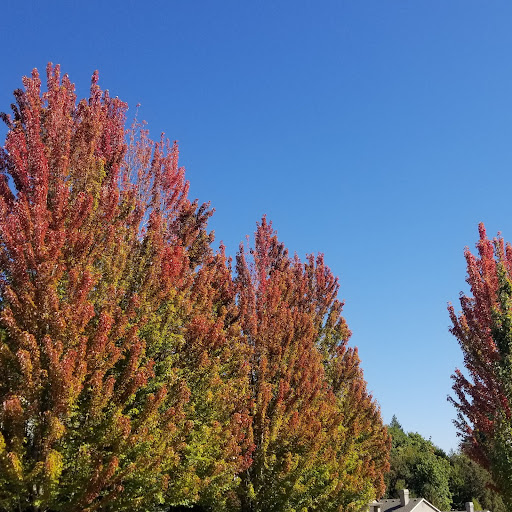 Mortgage Broker «Stonebridge Mortgage Group Inc.», reviews and photos