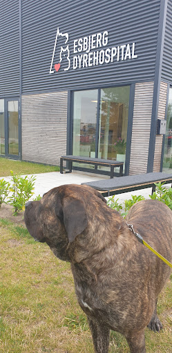 Esbjerg Animal Hospital Ltd. in Esbjerg Municipality, Esbjerg